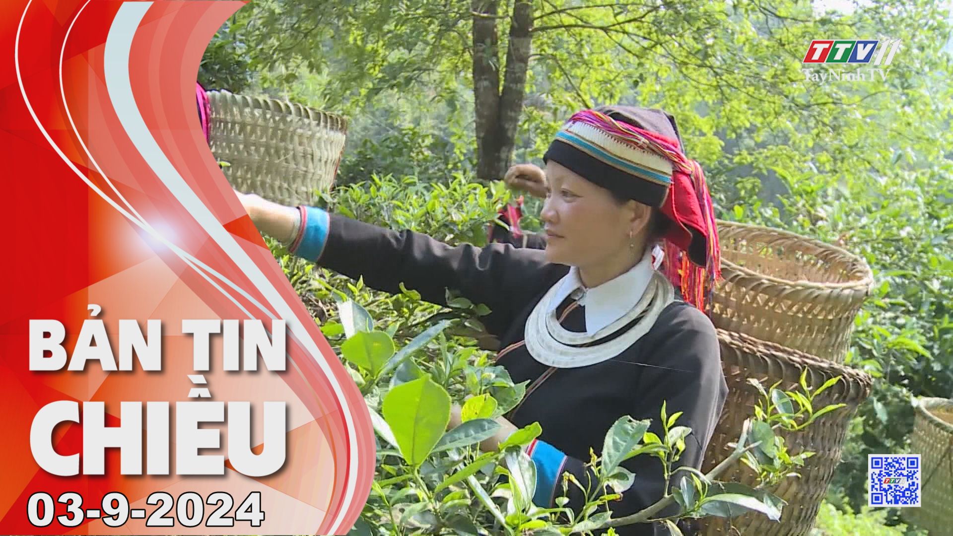 Bản tin chiều 03-9-2024 | Tin tức hôm nay | TayNinhTV